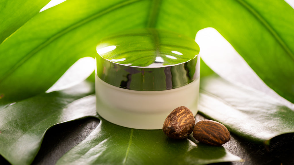 The Health and Beauty Benefits of Using Shea Butter for Healthy Skin VERGE Lifestyle Magazine