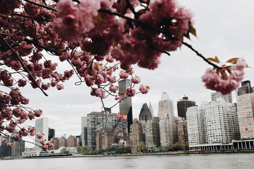 The Best Place to Travel This Fall