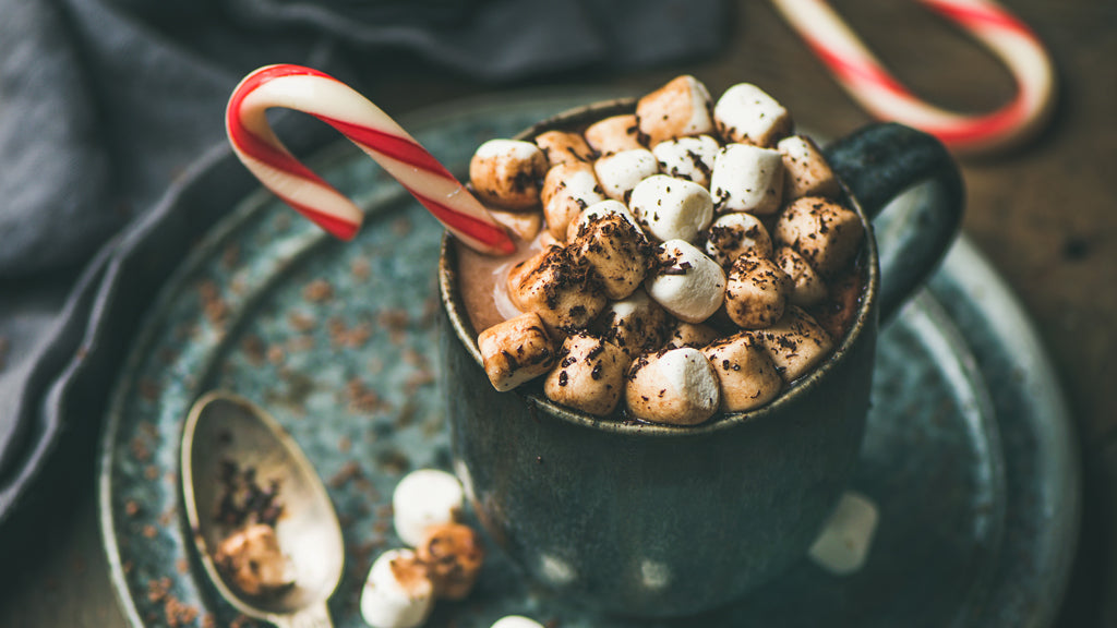 Make the Perfect Cup of Gourmet Hot Cocoa