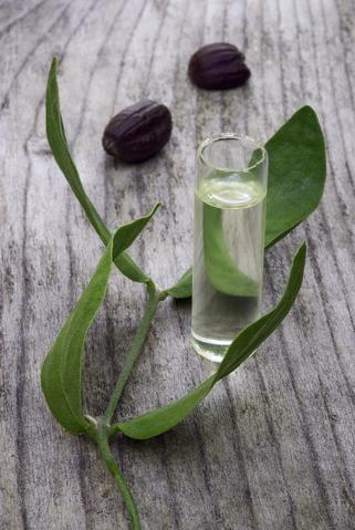 Hydrate Your Skin Naturally_Beauty and Wellness