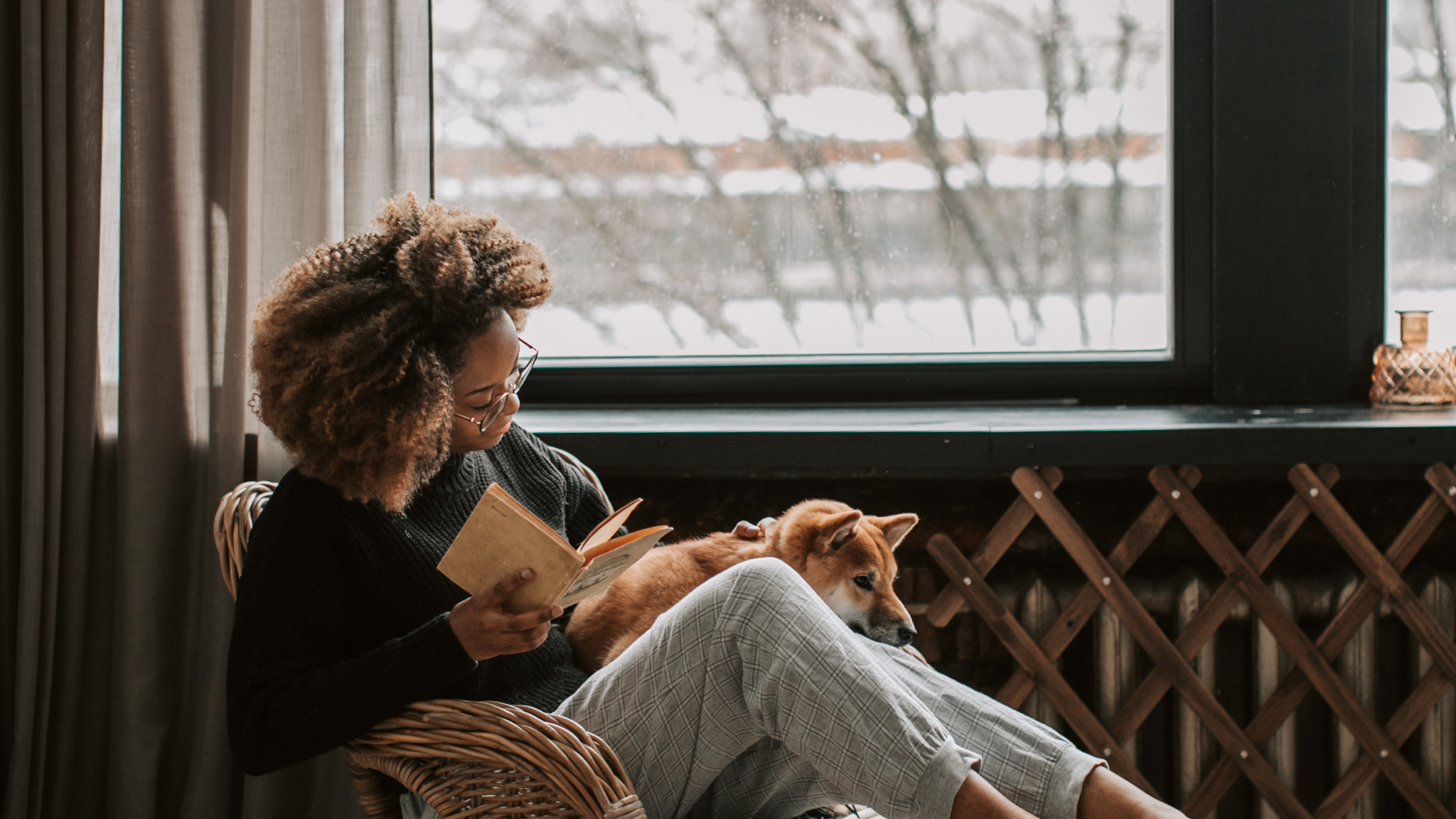 VERGE Online Bookstore